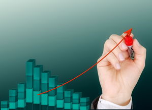 Leyu Sport登录入口-中国篮球职业联赛经济效益分析与可持续发展战略研究,中国篮球产业规模 第2张 Leyu Sport登录入口-中国篮球职业联赛经济效益分析与可持续发展战略研究,中国篮球产业规模 第2张