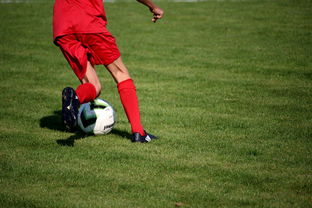 乐鱼体育平台官网-中国篮球青年运动员选拔体系研究,中国篮球国家青年队选拔方式 第1张 乐鱼体育平台官网-中国篮球青年运动员选拔体系研究,中国篮球国家青年队选拔方式 第1张