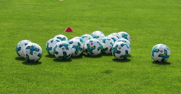 乐鱼体育(中国)官方网站-德甲防守战术转变对定位球防守效果的影响分析，德国足球防守大师