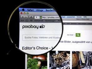 乐鱼（LEYU）体育-体育新闻中心发布体育短视频传播效果白皮书，体育短视频成为平台和用户的新宠