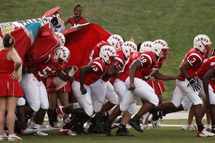 leyu乐鱼官网登录入口-国际足球联盟推出新赛制，提升比赛公平性和观赏性，国际足联最新审定的足球竞赛规则