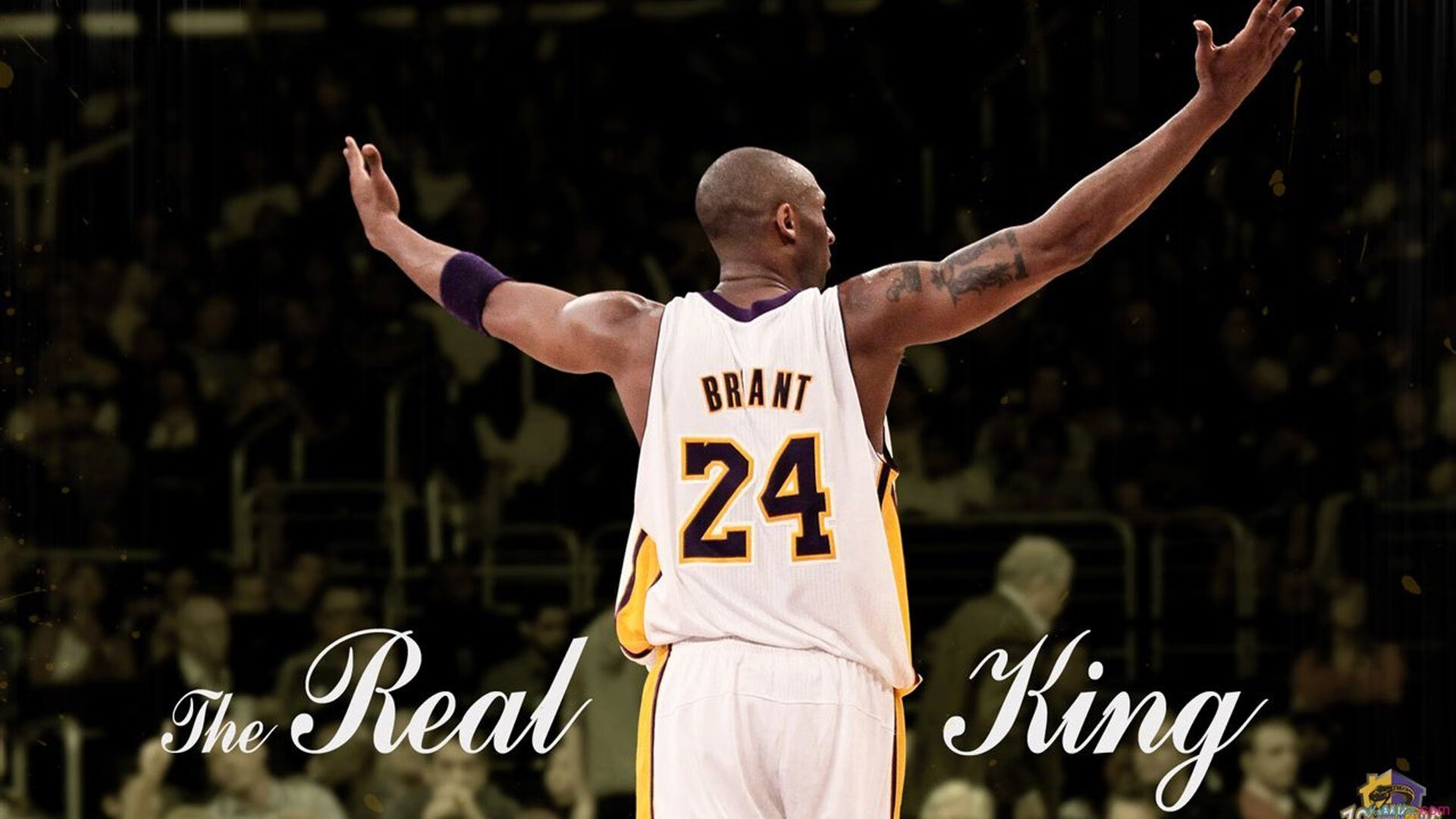 Leyu Sports (乐鱼体育)-青训体系上线家长观察日项目强化家庭参与度